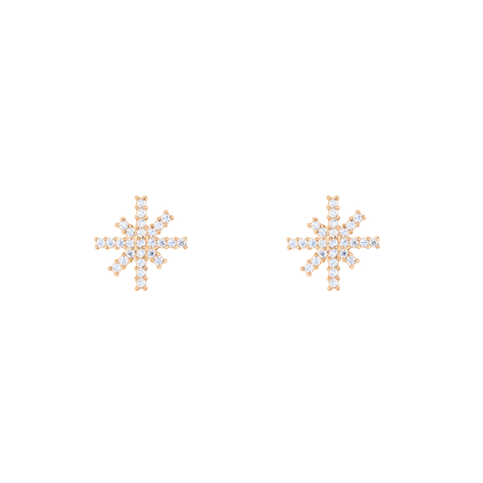 Daniel Wellington Mirelle Star Earring Rose Gold